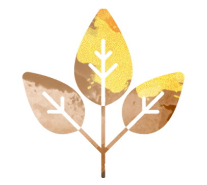 Forest Conservation